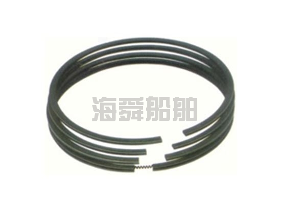 L23/30-活塞环